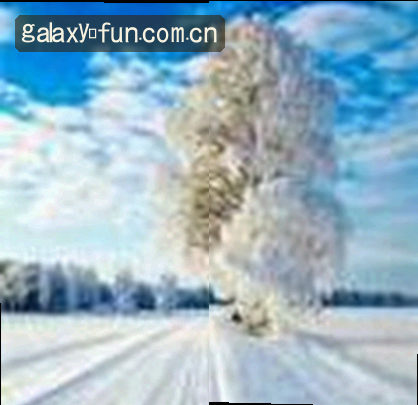 张伟